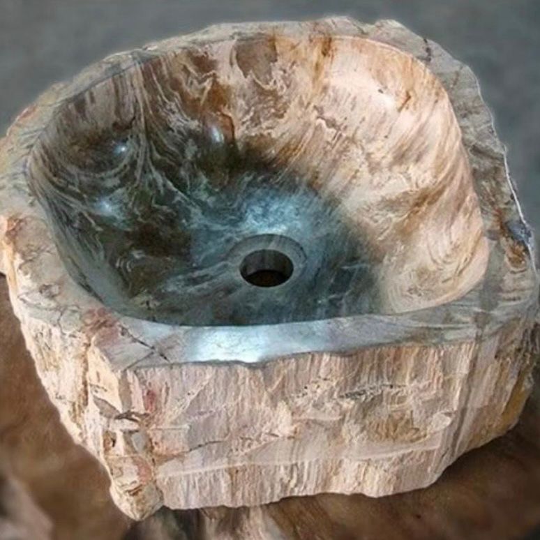 Petrified Wood Stone Sink - Natural Fossil Bathroom Vessel Basin | Rustic Vanity Bowl | Travertine Sink