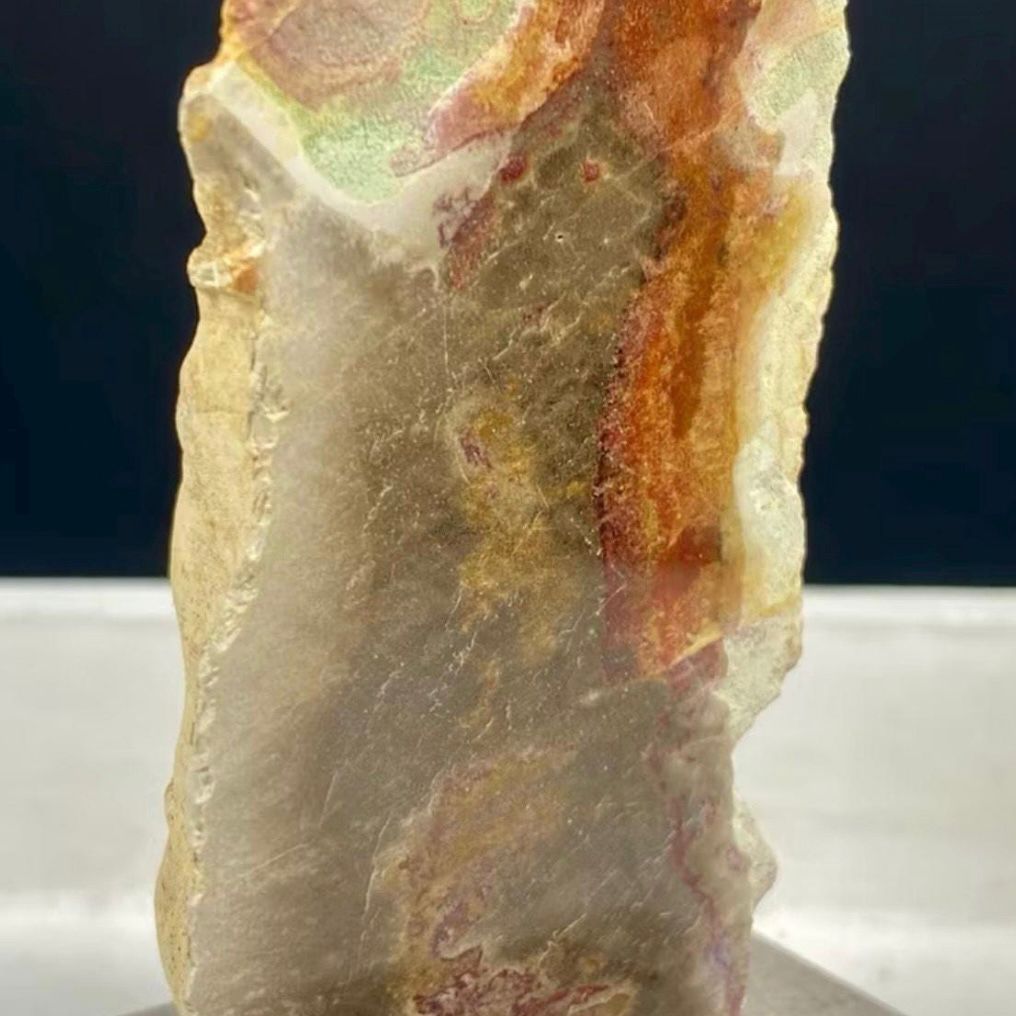 Petrified Wood Fossil on Stand – Natural Mineral Specimen, Stone Art, Unique Organic Decor, Ancient Wood Rock, Modern Home Display