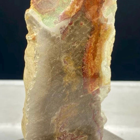 Petrified Wood Fossil on Stand – Natural Mineral Specimen, Stone Art, Unique Organic Decor, Ancient Wood Rock, Modern Home Display