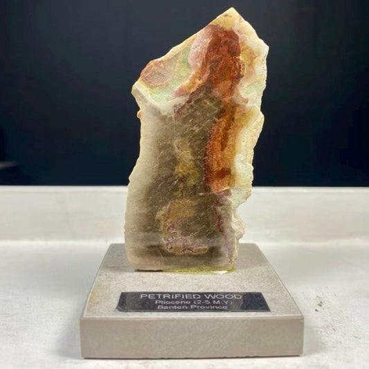 Petrified Wood Fossil on Stand – Natural Mineral Specimen, Stone Art, Unique Organic Decor, Ancient Wood Rock, Modern Home Display