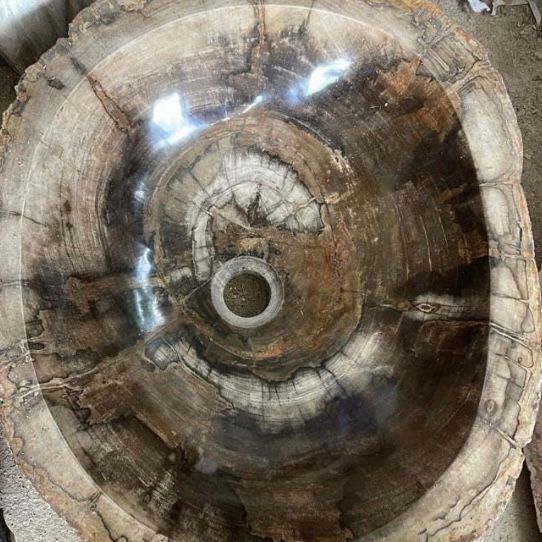 Petrified Wood Stone Sink - Natural Fossil Bathroom Vessel Basin | Rustic Vanity Bowl | Travertine Sink